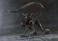 Picture of Alien Warrior Figura  Alien VS Predator S.H.MonsterArts