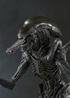 Picture of Alien Warrior Figura  Alien VS Predator S.H.MonsterArts