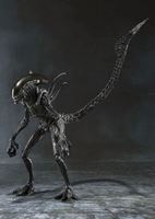 Picture of Alien Warrior Figura  Alien VS Predator S.H.MonsterArts