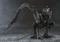 Picture of Alien Warrior Figura  Alien VS Predator S.H.MonsterArts