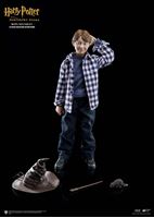 Picture of Harry Potter My Favourite Movie Figura 1/6 Ron Weasley Casual Wear 25 cm
