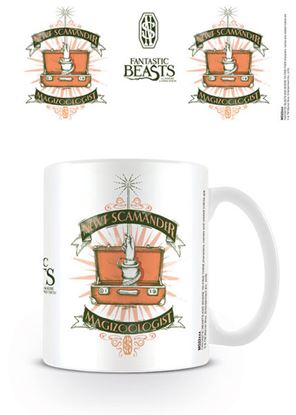 Picture of TAZA HP FANTASTIC BEASTS MAGICAL CASE