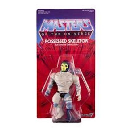 Picture of Masters of the Universe: Vintage Possessed Skeletor