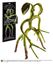 Picture of Bowtruckle (Pickett) Maleable - Animales Fantásticos