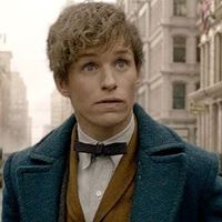 Picture of Réplica Pajarita Newt Scamander - Animales Fantásticos
