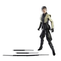 Picture of G.I. Joe Classified Series Snake Eyes: G.I. Joe Origins Figuras 2021 Wave 4  AKIKO