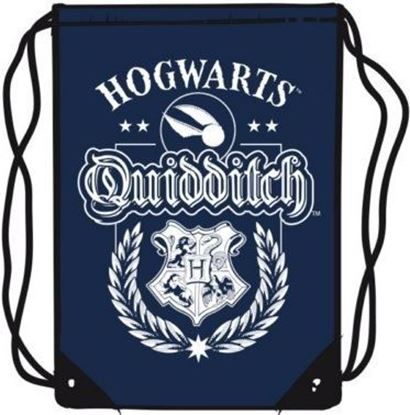 Picture of Mochila de Cuerdas Hogwarts Quidditch - Harry Potter