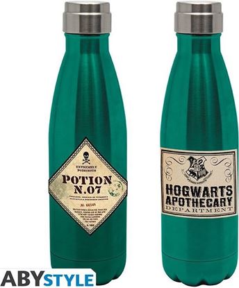 Picture of Botella Térmica Poción Multijugos 500 ml - Harry Potter