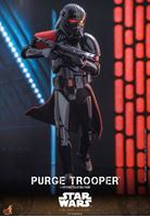 Foto de Star Wars: Obi-Wan Kenobi Figura 1/6 Purge Trooper 30 cm RESERVA