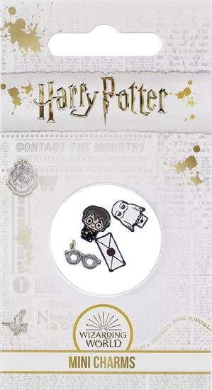 Picture of Set de 4 Mini Charms Harry Potter - Harry Potter