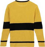Picture of Jersey Punto Tricot Hufflepuff Talla S - Harry Potter