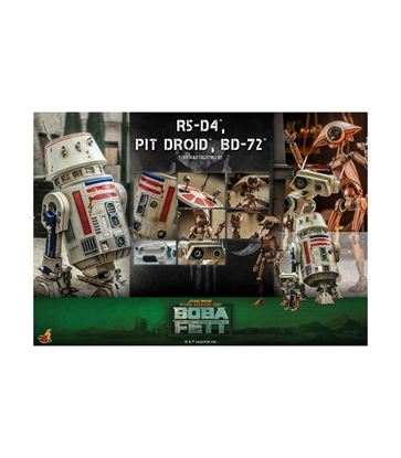 Picture of Star Wars The Mandalorian Figuras 1/6 R5-D4, Pit Droid, & BD-72 RESERVA