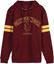 Picture of Sudadera Adulto Gryffindor Talla M - Harry Potter
