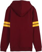 Picture of Sudadera Adulto Gryffindor Talla XXL - Harry Potter