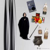 Picture of Set Imanes de Goma Severus Snape - Harry Potter