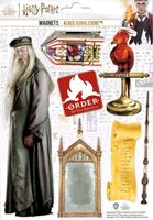 Picture of Set Imanes de Goma Albus Dumbledore - Harry Potter