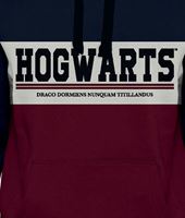 Picture of Sudadera Hogwarts Talla S - Harry Potter