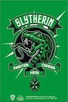 Picture of Imán Slytherin - Harry Potter