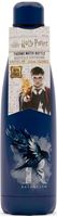 Picture of Botella Térmica Ravenclaw 500 ml - Harry Potter