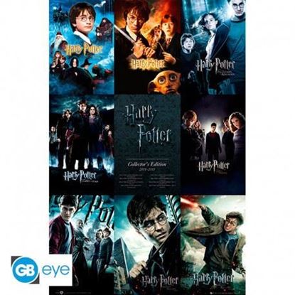 Picture of HARRY POTTER - Póster Maxi 91,5x61 - Colección
