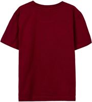 Picture of Camiseta Niño Gryffindor Talla 12 Años - Harry Potter