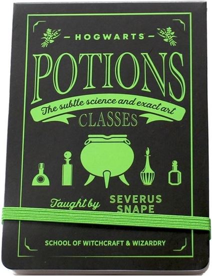 Picture of Libreta "Potions Classes" - Harry Potter