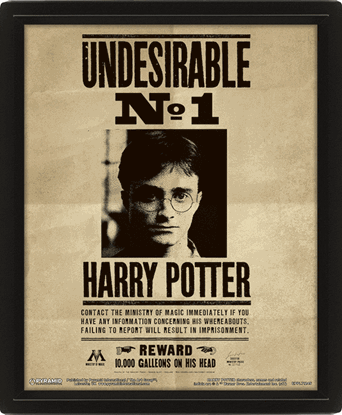 Imagen de Cuadro con efecto 3D Lenticular Harry & Sirius - Harry Potter