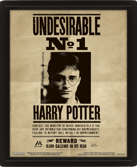 Foto de Cuadro con efecto 3D Lenticular Harry & Sirius - Harry Potter