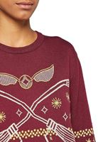Picture of Jersey Unisex Quidditch Talla S - Harry Potter