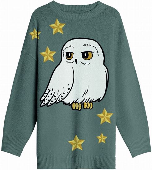 Picture of Jersey Chica Gris Hedwig Talla M - Harry Potter