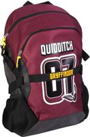 Picture of Mochila Quidditch Gryffindor - Harry Potter