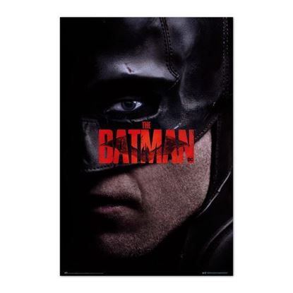 Picture of Poster Batman I am vengeance