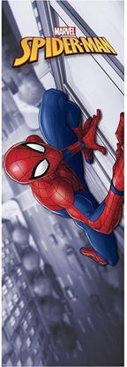 Picture of Poster Spiderman