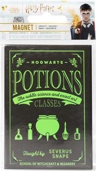 Foto de Imán "Potions Classes" - Harry Potter