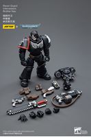 Foto de Warhammer 40k Figura 1/18 Raven Guard Intercessors Brother Nax 12 cm