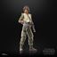 Imagen de Star Wars: The Acolyte Black Series Figura Osha Aniseya 15 cm