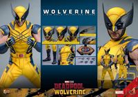 Foto de Deadpool & Wolverine Movie Masterpiece Figura 1/6 Wolverine 31 cm