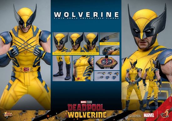 Foto de Deadpool & Wolverine Movie Masterpiece Figura 1/6 Wolverine 31 cm RESERVA