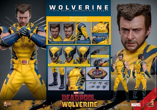 Foto de Deadpool & Wolverine Movie Masterpiece Figura 1/6 Wolverine (Deluxe Version) 31 cm