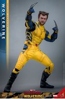 Foto de Deadpool & Wolverine Movie Masterpiece Figura 1/6 Wolverine (Deluxe Version) 31 cm