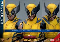 Foto de Deadpool & Wolverine Movie Masterpiece Figura 1/6 Wolverine (Deluxe Version) 31 cm