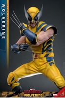 Foto de Deadpool & Wolverine Movie Masterpiece Figura 1/6 Wolverine (Deluxe Version) 31 cm RESERVA