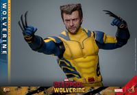 Foto de Deadpool & Wolverine Movie Masterpiece Figura 1/6 Wolverine (Deluxe Version) 31 cm RESERVA