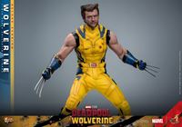 Foto de Deadpool & Wolverine Movie Masterpiece Figura 1/6 Wolverine (Deluxe Version) 31 cm RESERVA