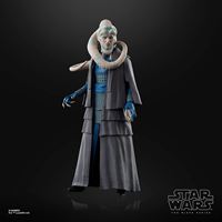 Foto de Star Wars Black Series Bib Fortuna