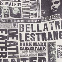 Foto de Bolsa de Tela Bellatrix & Lucius Wanted - Harry Potter