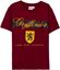 Imagen de Camiseta Infantil Gryffindor Talla 10 años - Harry Potter