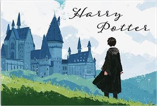 Foto de Imán Harry & Hogwarts - Harry Potter