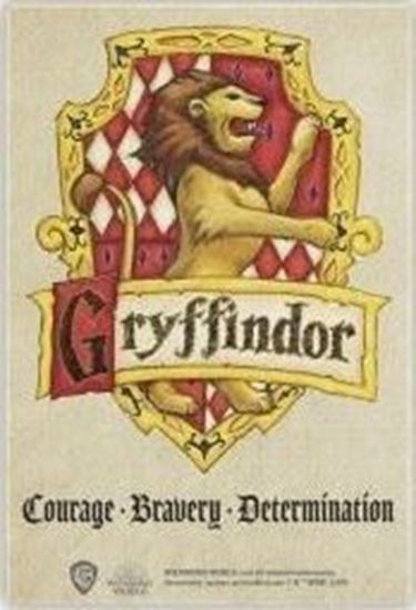 Foto de Imán Gryffindor - Harry Potter