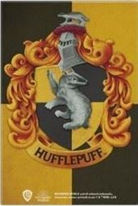 Imagen de Imán Hufflepuff - Harry Potter